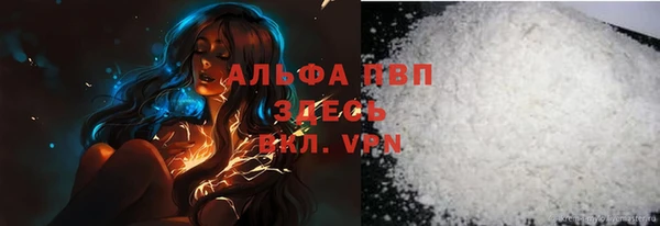 гидра Елабуга