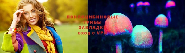 дмт Дмитриев