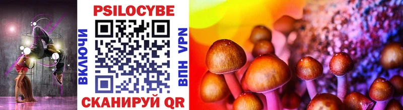 Псилоцибиновые грибы Psilocybine cubensis  магазин    OMG сайт  Гуково 