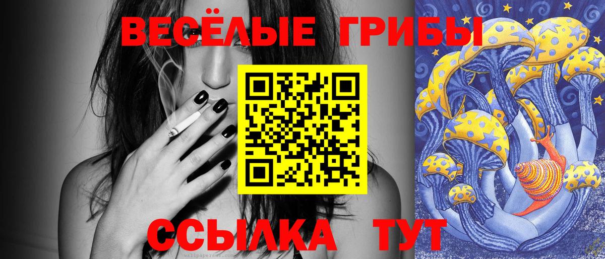 Галлюциногенные грибы Psilocybe Гуково
